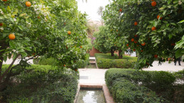 Hotel Royal Manseur Luis Vallejo