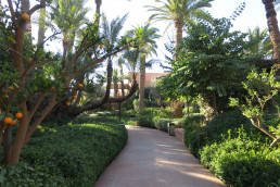 Hotel Royal Manseur Luis Vallejo