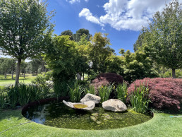 Garden in 