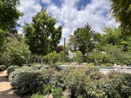 Garden in 