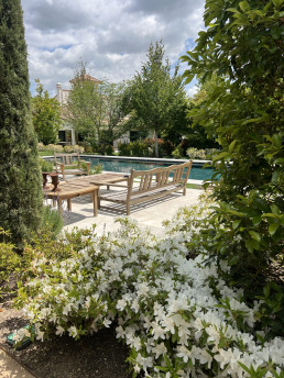 Garden in 