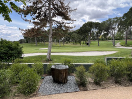 Garden in 
